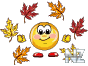 b02048.gif