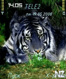 tig_lex226