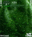 Spring_Rain_by_PiZero.zip