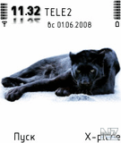 panther_by_lex226