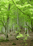 DSC01353_d.jpg