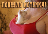 133.jpg