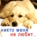 Dog.gif