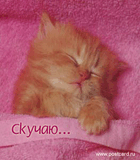 Kisk_1.jpg