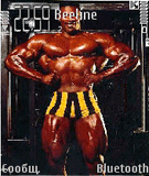 Bodybuilding by S.L.I.P._OS7,8,8.1.sis