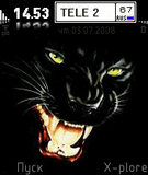 Panthera__by_lex226
