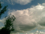 02072008_005_.jpg