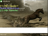 skn2.jpg