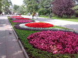 20062008.jpg