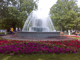20062008003.jpg