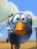 101.gif