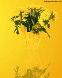 May_Mothers_Day.jpg