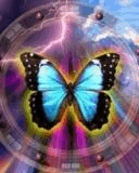 Butterfly.jpg