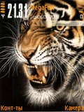 Animated_tiger_2_by_Heirfister.zip