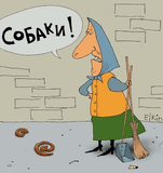 Собаки.jpg