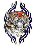Tiger.jpg