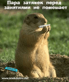 2ZATYA_1.jpg