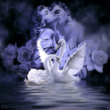 Любовь и лебеди.jpg