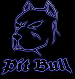 Pit_bull_1_1.jpg