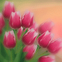 p_52448_52446.gif