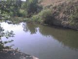 DSC00054.jpg
