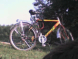 DSC00047.jpg