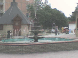 DSC00038.jpg