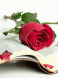 Img_31_.gif