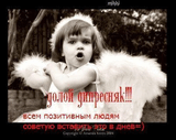 51321_5_f.jpg