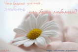 42900040aff8.jpg