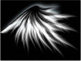 angel.jpg