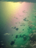 Rainbow_Reflections.jpg
