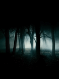 The_Dark_Forest.jpg
