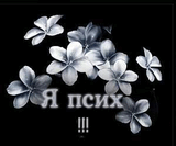 8monax8