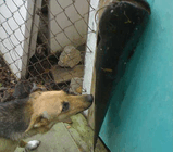 Сом и Карина.jpg