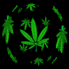 Img0AA1.gif