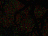 02112008_085_.jpg