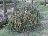26092008_011_.jpg