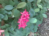 26092008_026_.jpg