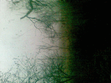 14112008.jpg