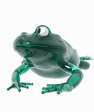 Bestgfrog_.jpg