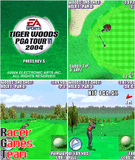 Tiger woods 2004.zip