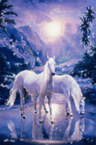 09727.gif