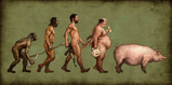 Evolutia.jpg