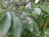 26092008_106_.jpg