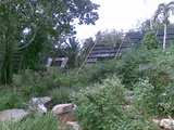 26092008_112_.jpg