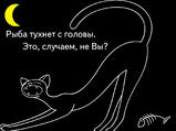 1227628341_52100.jpg
