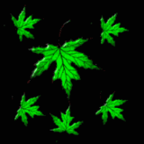 groen064.gif