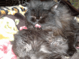 20122008652.jpg