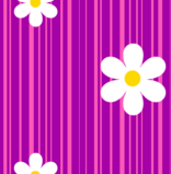 14.gif